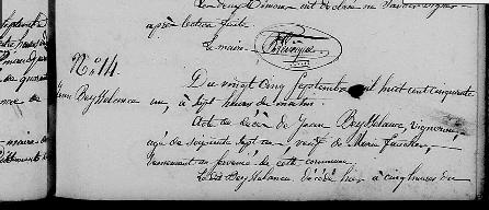 beysselance jean deces 1851 epouse fauchet.jpg